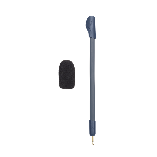JBL Quantum 100