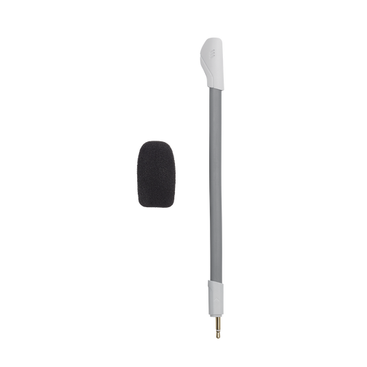 JBL Quantum 100