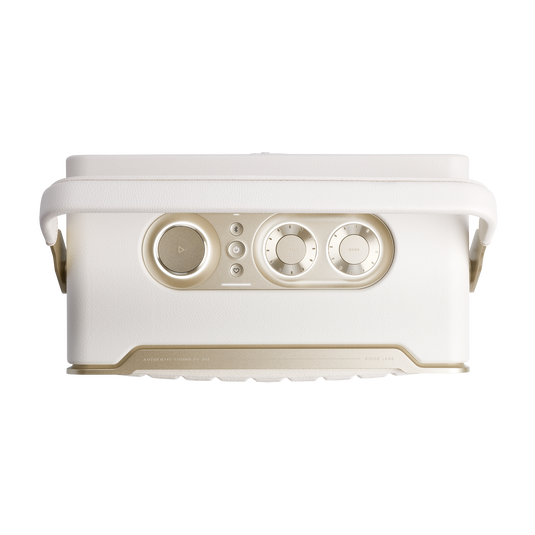 JBL Authentics 300